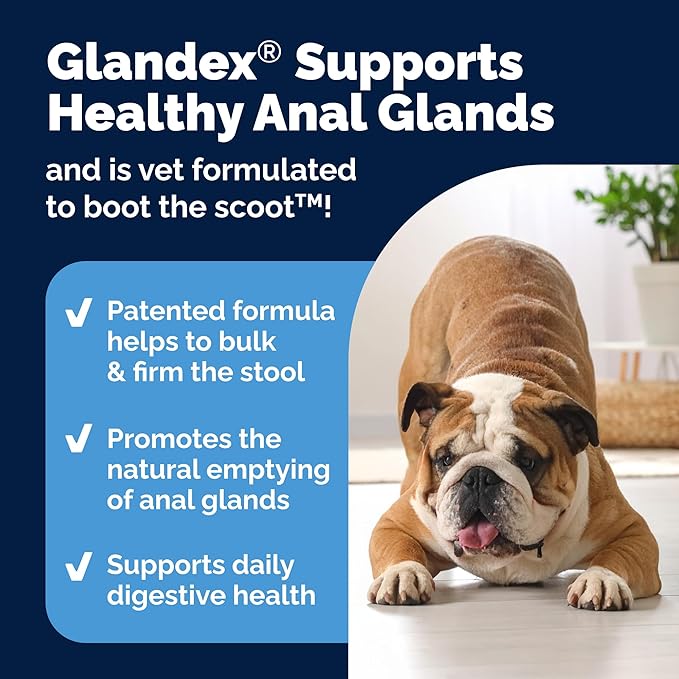 Vetnique Labs Glandex Anal Gland Soft Chew Treats with Pumpkin for Dogs Digestive Enzymes, Probiotics Fiber Supplement for Dogs Boot The Scoot (Bacon/Pork Chews, 120 Count)