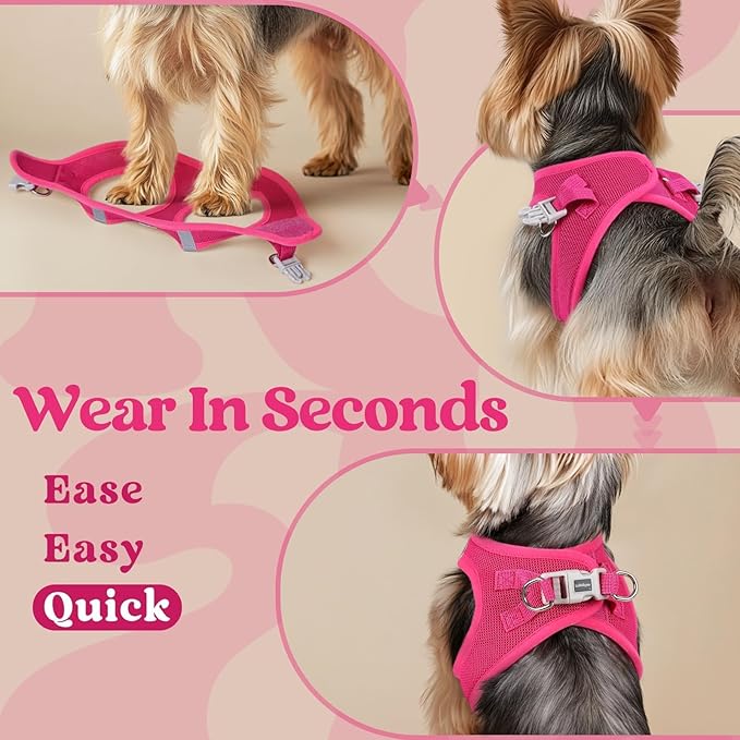 rabbitgoo Small Dog Harness, Step-in Soft Mesh Puppy Vest with Safety Buckle, Breathable Reflective Pet Harness for Small Medium Dogs, Rose Red L
