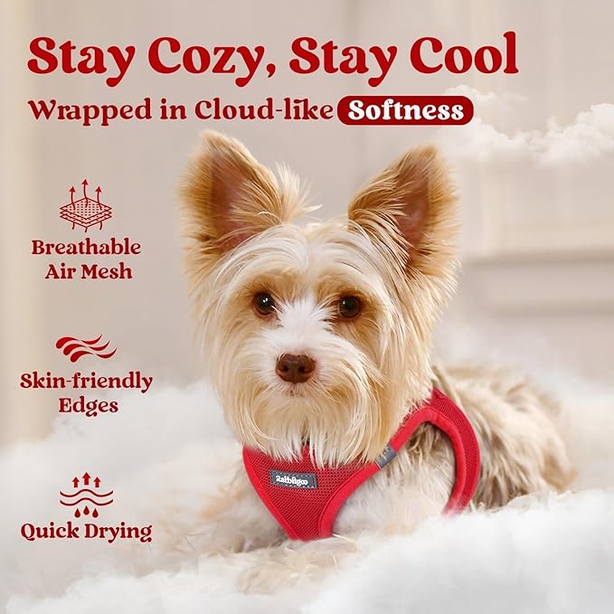rabbitgoo Small Dog Harness, Step-in Soft Mesh Puppy Vest with Safety Buckle, Breathable Reflective Pet Harness for Extra Small Dogs, Red XXS
