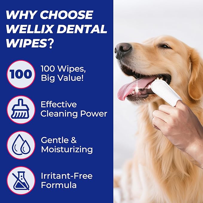Wellix 100 Count Dog Teeth Cleaning Wipes for Dogs & Cats - Natural Formula Dental Care Finger Wipes Reduces Dog Plaque, Tartar & Bad Breath - No-Rinse Disposable Dog Dental Wipes