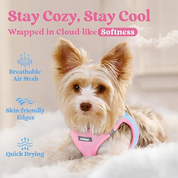 rabbitgoo Small Dog Harness, Step-in Soft Mesh Puppy Vest with Safety Buckle, Breathable Reflective Pet Harness for Extra Small Dogs, Blue & Light Pink XXS