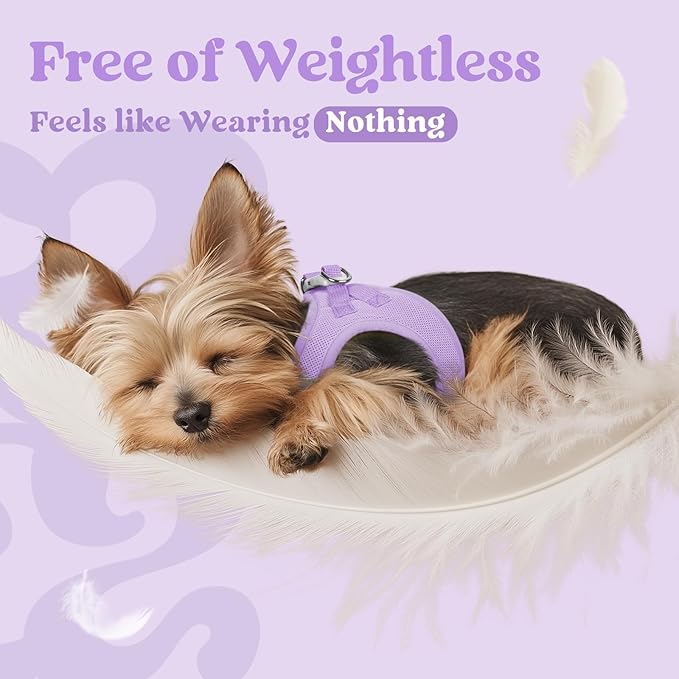 rabbitgoo Small Dog Harness, Step-in Soft Mesh Puppy Vest with Safety Buckle, Breathable Reflective Pet Harness for Extra Small Dogs, Light Purple XXS