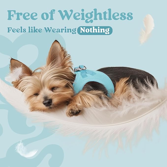 rabbitgoo Small Dog Harness, Step-in Soft Mesh Puppy Vest with Safety Buckle, Breathable Reflective Pet Harness for Small Medium Dogs, Mint Blue L