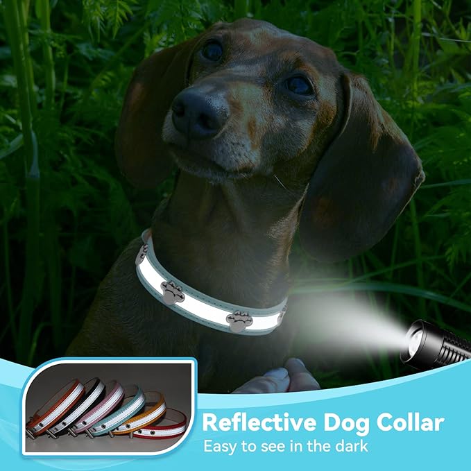 PETCARE Reflective Dog Collar with Cute Paw Rivet Studded Funny Soft PU Leather Adjustable Puppy Dog Collars for Small Medium Large Dogs Cats (Blue,XX-Large)