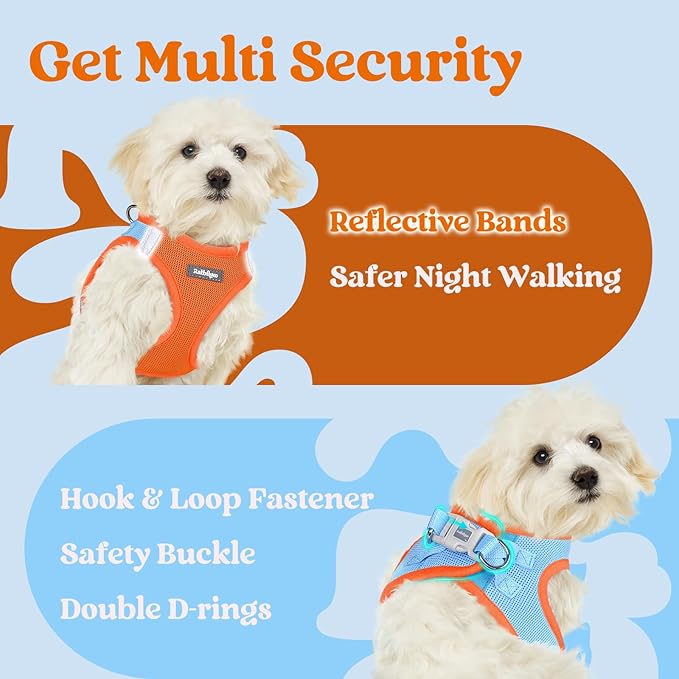 rabbitgoo Small Dog Harness, Step-in Soft Mesh Puppy Vest with Safety Buckle, Breathable Reflective Pet Harness for Small Sized Dogs, Blue & Orange XS
