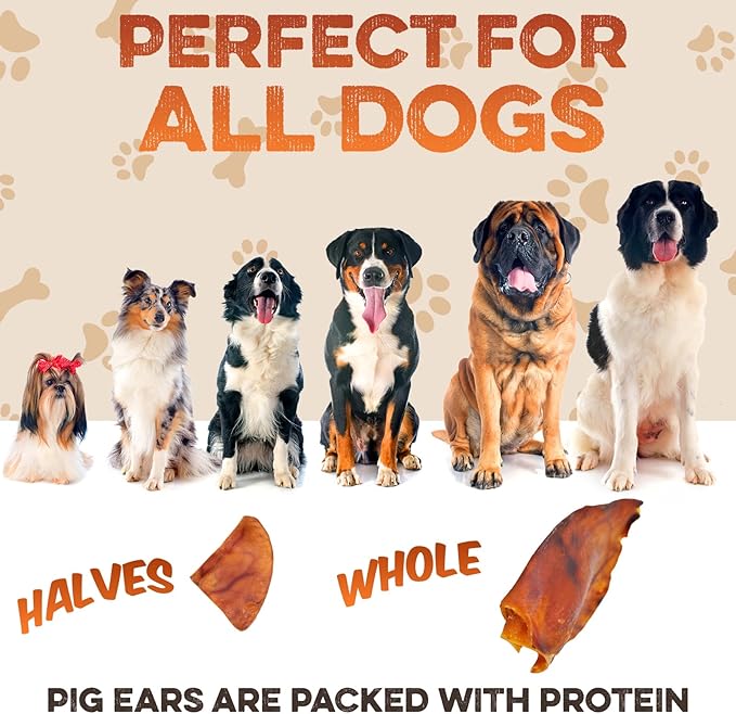 BRUTUS & BARNABY Whole Pig Ears for Dogs, 100 Ct. – All-Natural Single Ingredient Dog Chews, Slow Cooked & Fully Digestible Rawhide Alternative