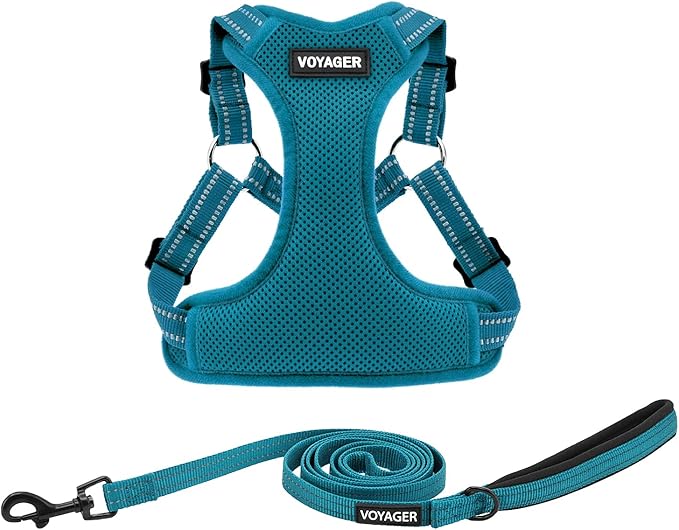Best Pet Supplies Voyager Adjustable Step-in Flex Breathable Mesh Dog Harness for Small Medium Large Dogs Leash Set (Turquoise), XS