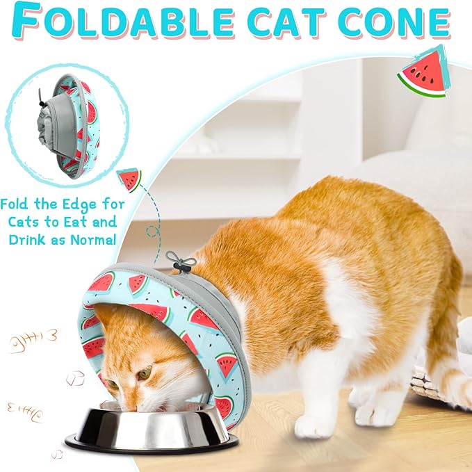 Cat Cone Collar Soft to Stop Licking, Adjustable, Foldable Lightweight Kitten Cones After Surgery Recovery for Cats & Kittens, Cat Cone Alternative (Blue, L)