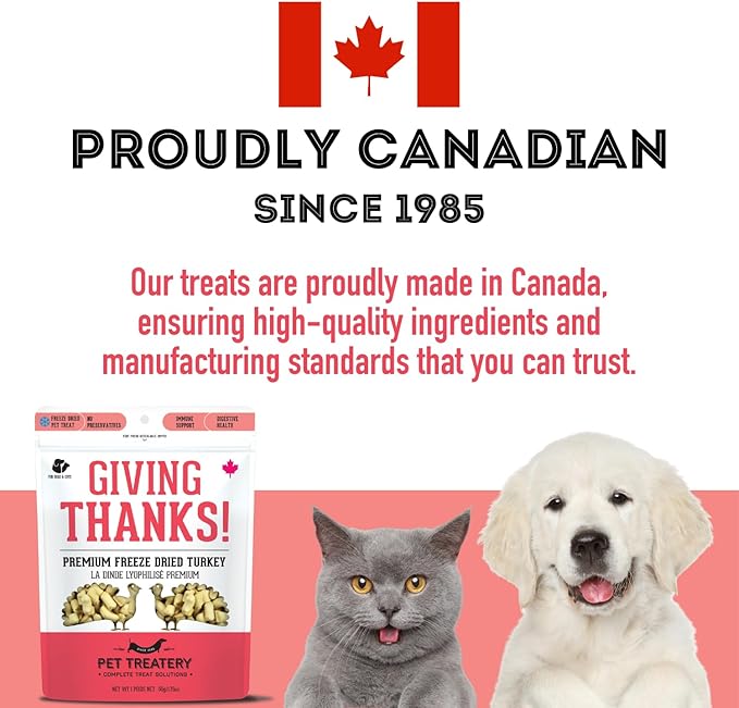The Granville Island Pet Treatery Freeze Dried Turkey Treats for Dogs & Cats (1.76 oz, Pack of 1) - Single Ingredient Flash Frozen to Maintain Nutrients Vitamins and Healthy Oils Made in Canada