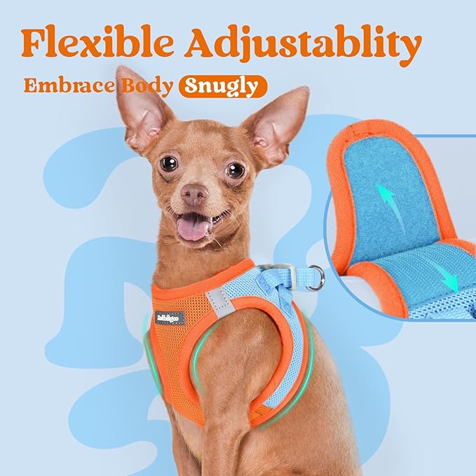 rabbitgoo Small Dog Harness, Step-in Soft Mesh Puppy Vest with Safety Buckle, Breathable Reflective Pet Harness for Small Sized Dogs, Blue & Orange M