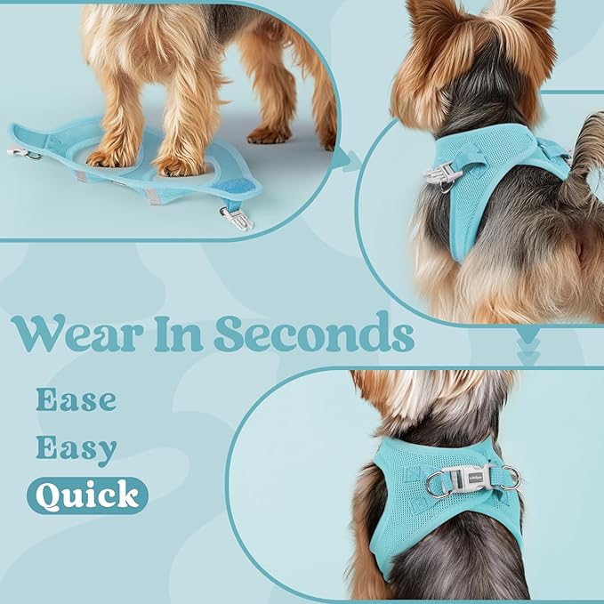 rabbitgoo Small Dog Harness, Step-in Soft Mesh Puppy Vest with Safety Buckle, Breathable Reflective Pet Harness for Small Sized Dogs, Mint Blue XS