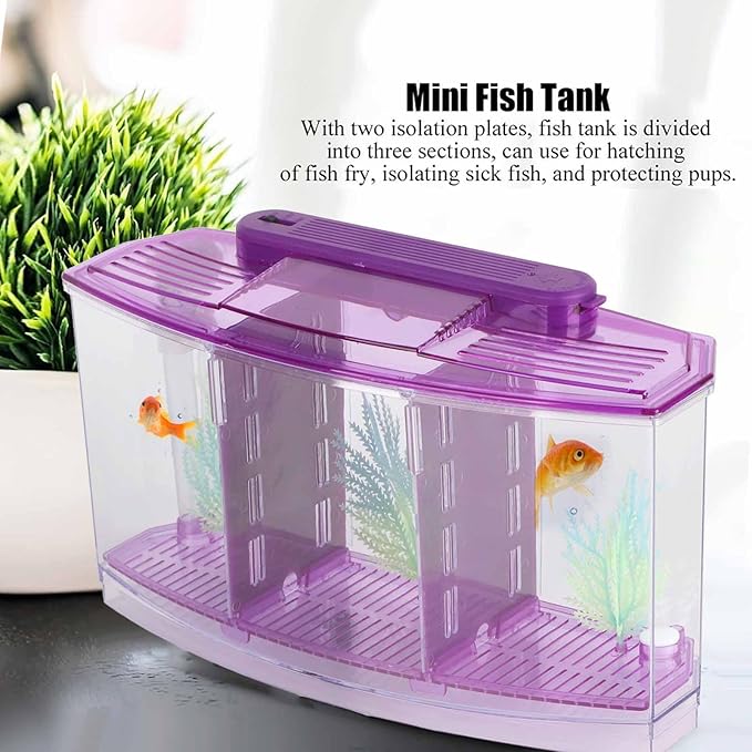 Fish , Desktop Transparent Breeding Fish , Mini Acrylic for Small Fishes with LED Light with Water Change Valve for Betta()