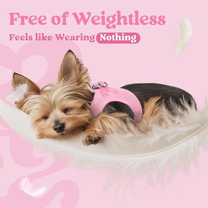 rabbitgoo Small Dog Harness, Step-in Soft Mesh Puppy Vest with Safety Buckle, Breathable Reflective Pet Harness for Small Sized Dogs, Light Pink S