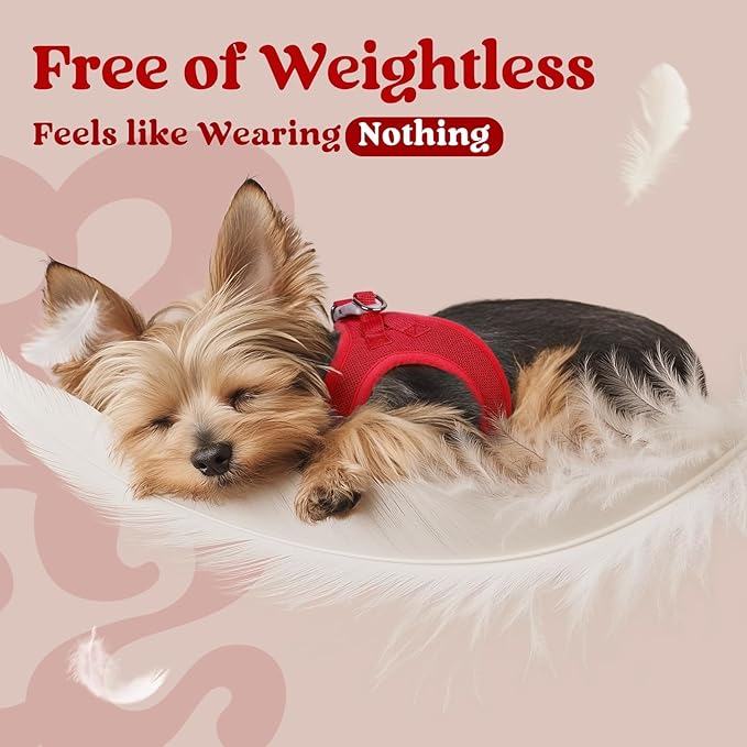 rabbitgoo Small Dog Harness, Step-in Soft Mesh Puppy Vest with Safety Buckle, Breathable Reflective Pet Harness for Large Dogs, Red XXL