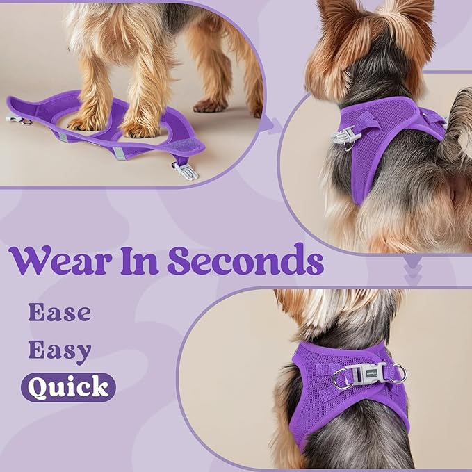 rabbitgoo Small Dog Harness, Step-in Soft Mesh Puppy Vest with Safety Buckle, Breathable Reflective Pet Harness for Large Dogs, Purple XXL