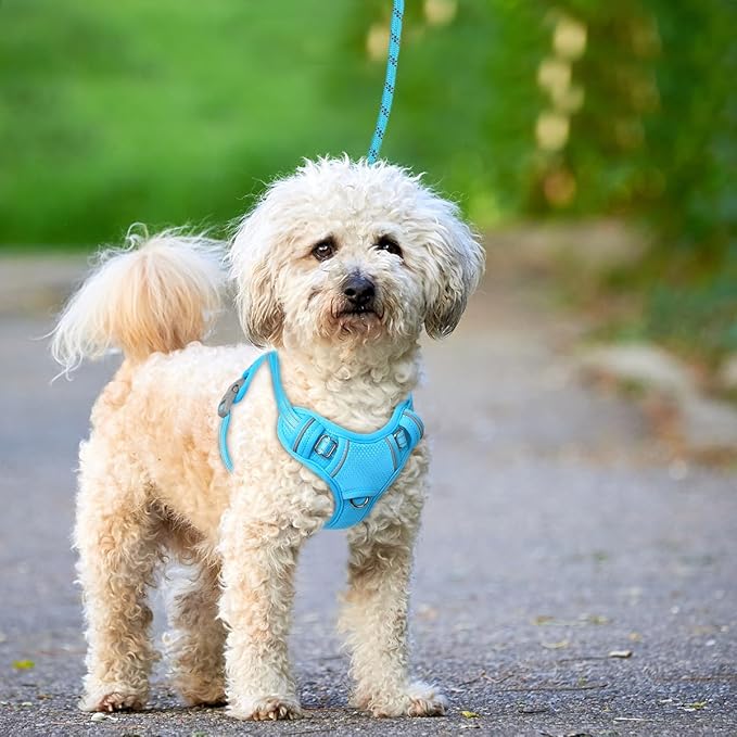 BARKBAY No Pull Dog Harness Large Reflective Dog Harness with Front Clip and Easy Control Handle for Walking Training Running with ID tag Pocket(Blue,S)