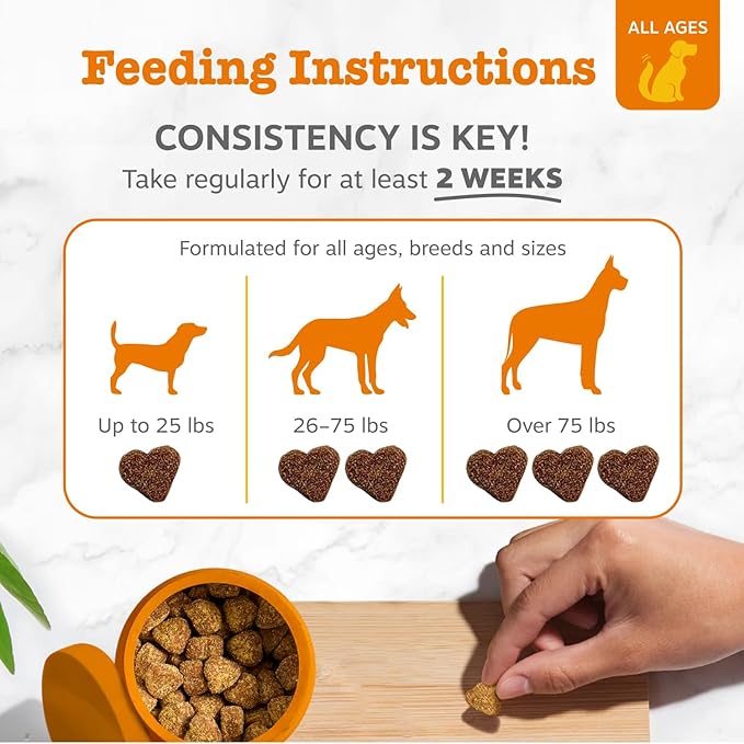 Zesty Paws Probiotics for Dogs - Digestive Enzymes for Gut Flora, Digestive Health, Diarrhea & Bowel Support - Clinically Studied DE111 - Dog Supplement Soft Chew for Pet Immune System - Pumpkin