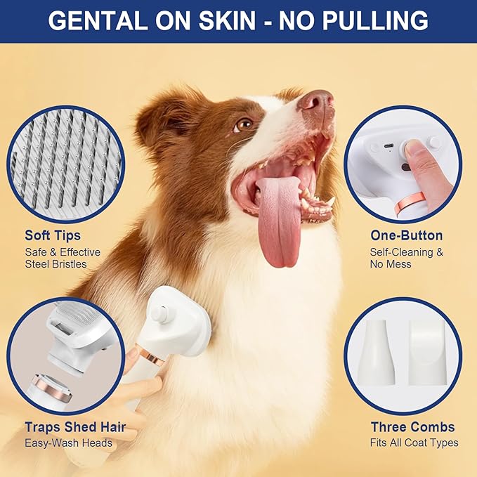 3-in-1 Pet Hair Dryer Brush for Dogs & Cats Portable, Dog Hair Blower & Slicker Brush Adjustable Temp (Low/Middle/High), Overheat Protection