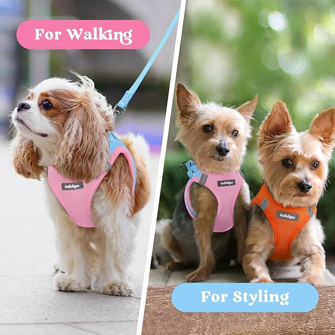 rabbitgoo Small Dog Harness, Step-in Soft Mesh Puppy Vest with Safety Buckle, Breathable Reflective Pet Harness for Extra Small Dogs, Blue & Light Pink XXS
