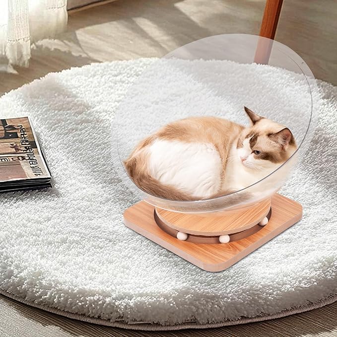 Doppy Space Capsule Cat Bed, Indoor Small Pets Kitten Sleeping Nest Pet Supplies Transparent Round Kitten House Activity Centre Bed Toy (Clear, L)