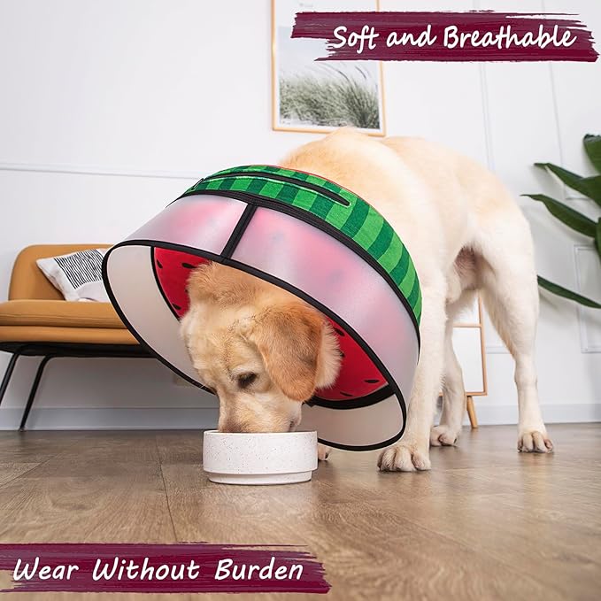 Inflatable Dog Cone Collar with Enhanced Anti-Licking, Soft Neck Donut for Dogs Cats, Recovery Pet Cone Collar After Surgery for Large Medium Small Dogs… (Watermelon, Medium)