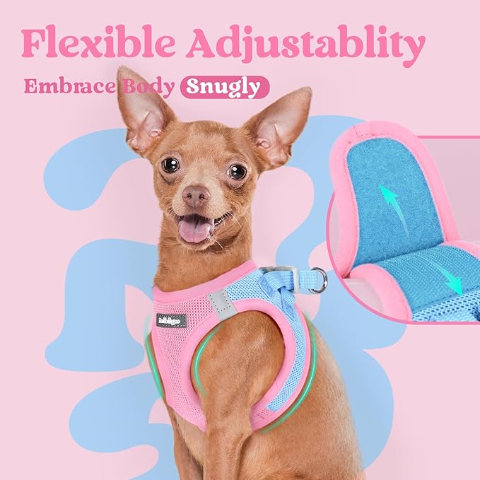 rabbitgoo Small Dog Harness, Step-in Soft Mesh Puppy Vest with Safety Buckle, Breathable Reflective Pet Harness for Small Medium Dogs, Blue & Light Pink L