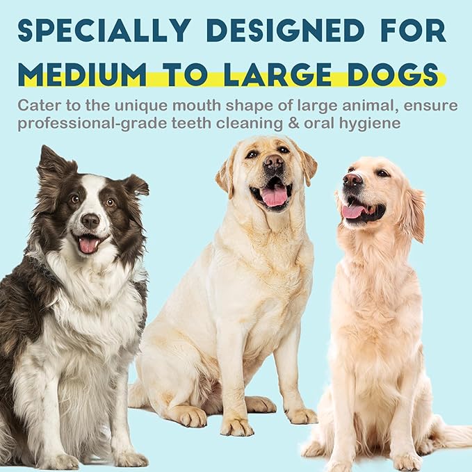 Dog Toothbrush Kit 4 Pack, 10,000 Ultra-Soft Bristles, Dog Tooth Brush for Medium to Large Dogs & Cats, Pet Tooth Brushing Kit for Easy Dental Cleaning, 2 Green Wave Head & 2 White Flat Head