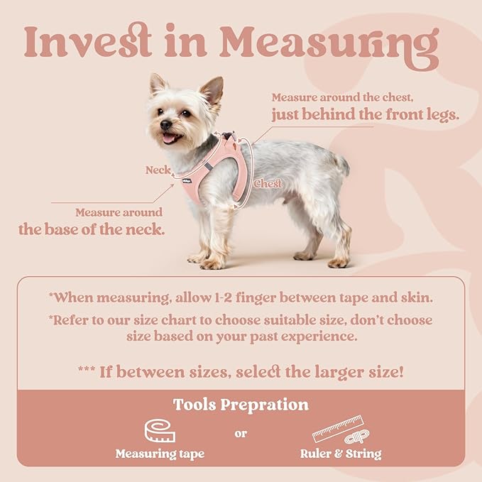 rabbitgoo Small Dog Harness, Step-in Soft Mesh Puppy Vest with Safety Buckle, Breathable Reflective Pet Harness for Small Medium Dogs, Pink XL