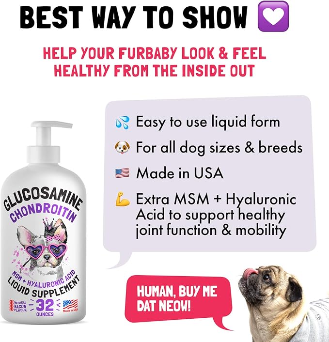 Liquid Glucosamine for Dogs Bacon Flavour Chondroitin, MSM & Hyaluronic Acid K9 Supplement Hip and Joint Formula Advanced Mobility Joint Pain Relief Senior Advanced Supplement for All Breeds 32 oz