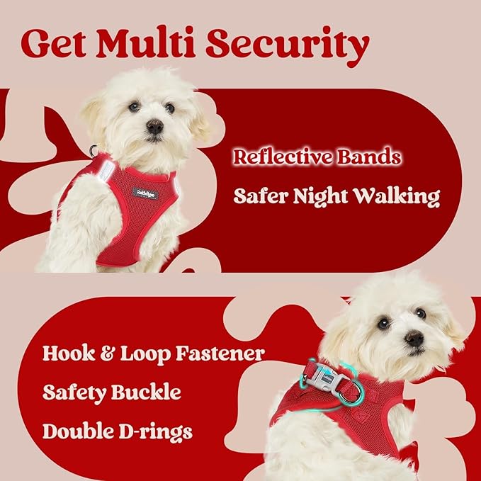 rabbitgoo Small Dog Harness, Step-in Soft Mesh Puppy Vest with Safety Buckle, Breathable Reflective Pet Harness for Extra Small Dogs, Red XXXS