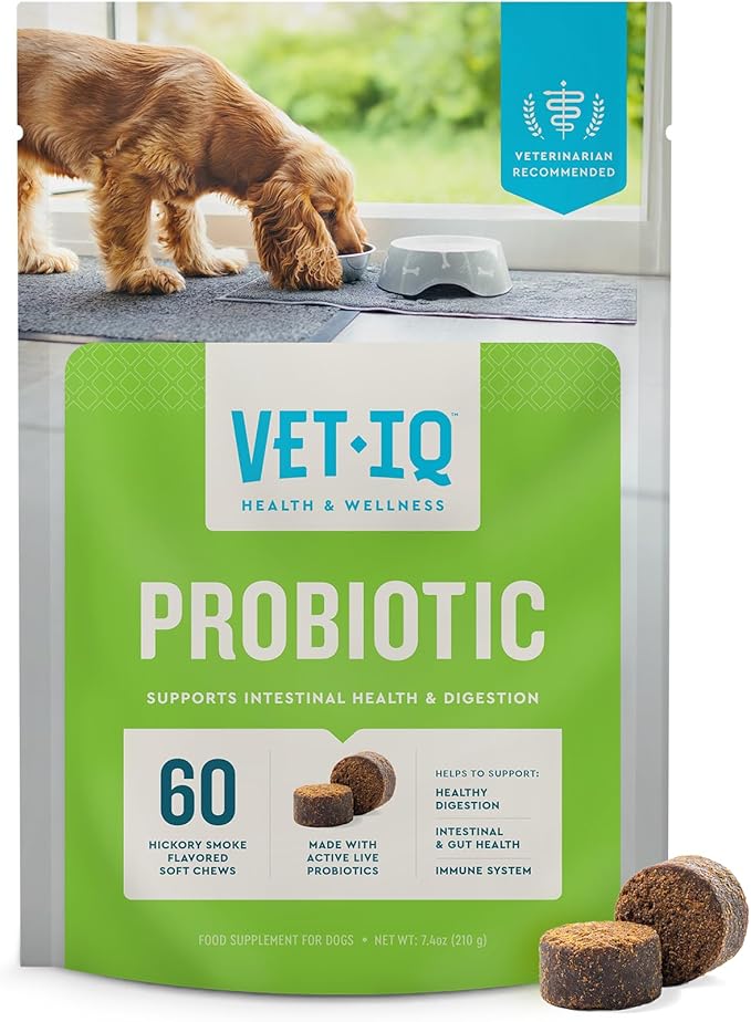 VetIQ Probiotic Supplement for Dogs, Digestive Support for Dogs, Nourishes Gut Bacteria and Supports Bowel Function, Hickory Smoke Flavor, Made in The USA, 60 Count