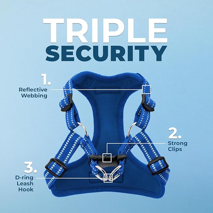 Best Pet Supplies Voyager Adjustable Step-in Flex Breathable Mesh Dog Harness for Small Medium Large Dogs (Royal Blue), XS