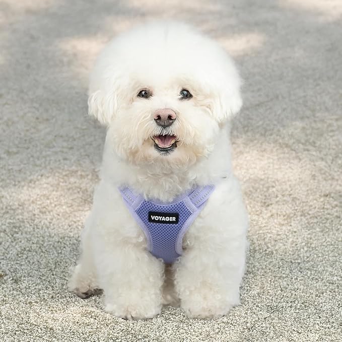 Best Pet Supplies Voyager Adjustable Step-in Flex Breathable Mesh Dog Harness for Small Medium Large Dogs (Lavender), S