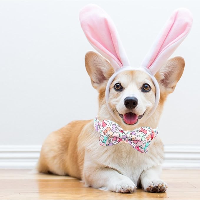 Lionheart Glory Easter Day Dog Collar with Bowtie for Small Dogs & Rabbits