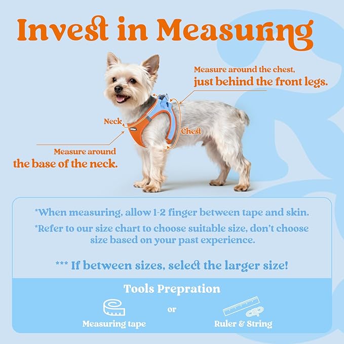 rabbitgoo Small Dog Harness, Step-in Soft Mesh Puppy Vest with Safety Buckle, Breathable Reflective Pet Harness for Large Dogs, Blue & Orange XXL