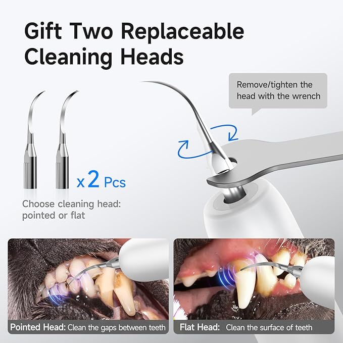 Electric Dog Plaque & Tartar Remover - Pet Teeth Cleaning Kit with LED Light, 5 Adjustable Modes, Safe and Low Noise – Easy Home Dental Care for Dogs and Cats