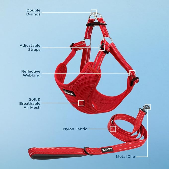 Best Pet Supplies Voyager Adjustable Step-in Flex Breathable Mesh Dog Harness for Small Medium Large Dogs Leash Set (Red), XS
