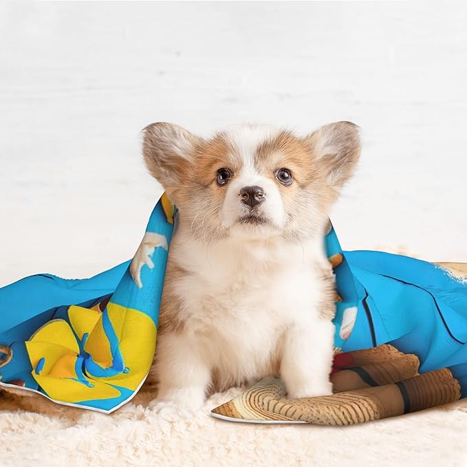Waterproof Dog Blanket Soft Pet Blanket for Puppy Cat, Fleece Cat Throw Blankets for Furniture Bed Couch Sofa Reversible - Boards and Beach