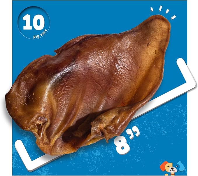 Jack&Pup Whole Pig Ears for Dogs (10 Pack) - All Natural Single Ingredient Extra Thick Large Pigs Ears - Premium Dog Pig Ear Treats - Natural Dog Pork Chews; Excellent Rawhide Alternative