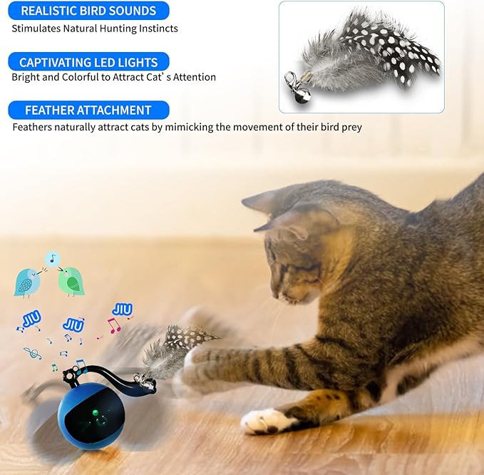 Interactive Cat Toy Ball with Remote Control, Automatic Moving & Rolling Cat Feather Toy, USB Rechargeable, Motion Activated Remote Control Cat Toy for Indoor Cats (Blue)