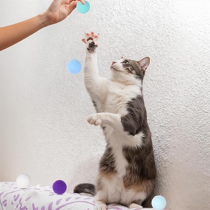 60 Pcs Cat Toy Balls 1-inch Colorful Cat Pom Pom Balls Soft Interactive Cat Balls Cat Play Toy Cat Exercise Toys Cats Interactive Playing Quiet Ball Fuzzy Kitten Ball for Cat Pet