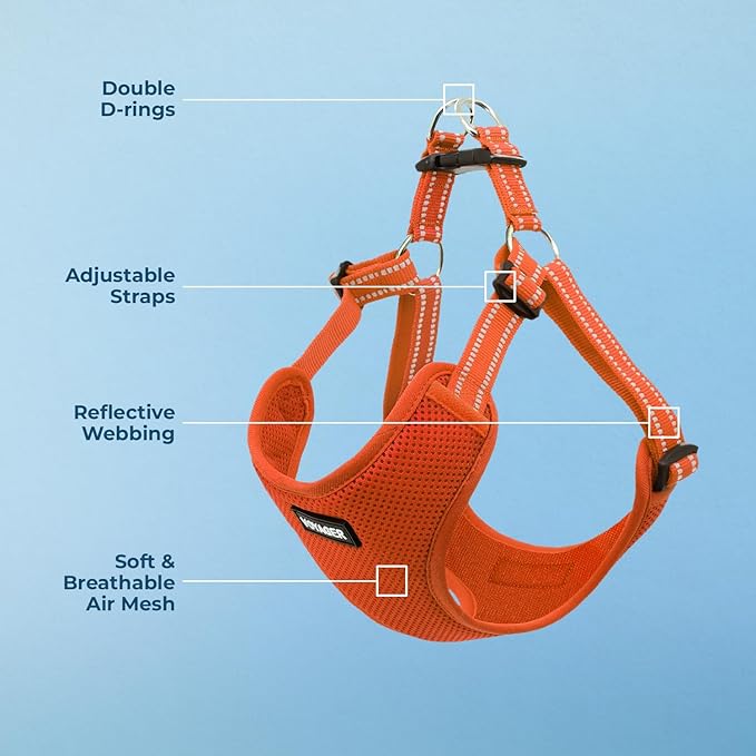 Best Pet Supplies Voyager Adjustable Step-in Flex Breathable Mesh Dog Harness for Small Medium Large Dogs (Orange), XS