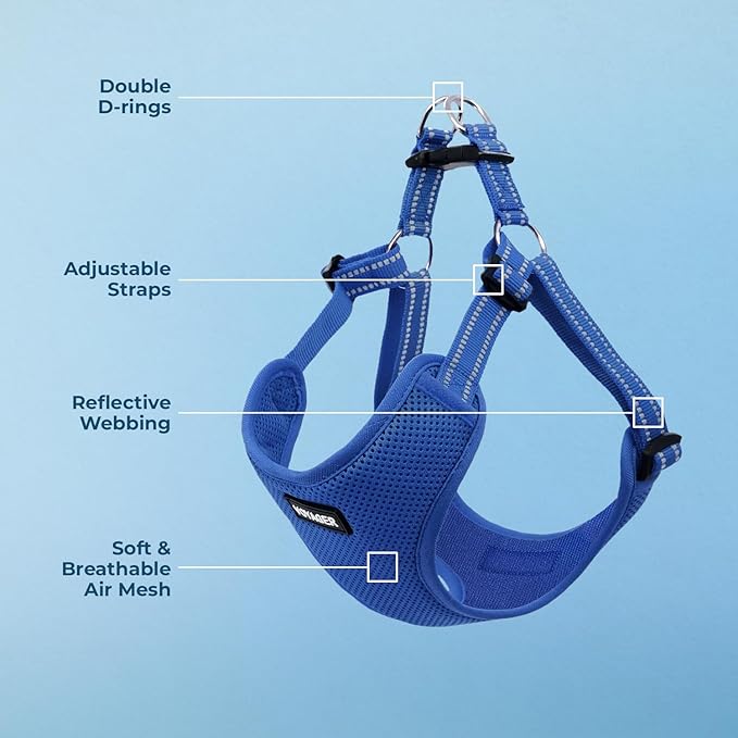 Best Pet Supplies Voyager Adjustable Step-in Flex Breathable Mesh Dog Harness for Small Medium Large Dogs (Royal Blue), M