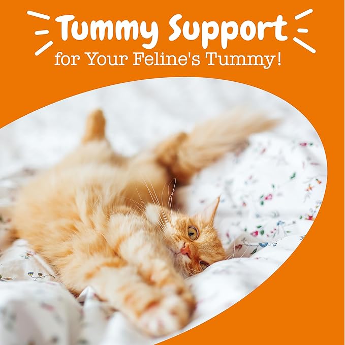 Zesty Paws Powder Probiotics for Cats - Meal Topper for Digestive, Immune System Support for Feline Biome - Premium DE111 Cat Probiotics for Digestive Health - Fiber & Yeast Extract - Pumpkin - 30 Ct