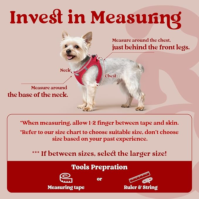 rabbitgoo Small Dog Harness, Step-in Soft Mesh Puppy Vest with Safety Buckle, Breathable Reflective Pet Harness for Large Dogs, Red XXL