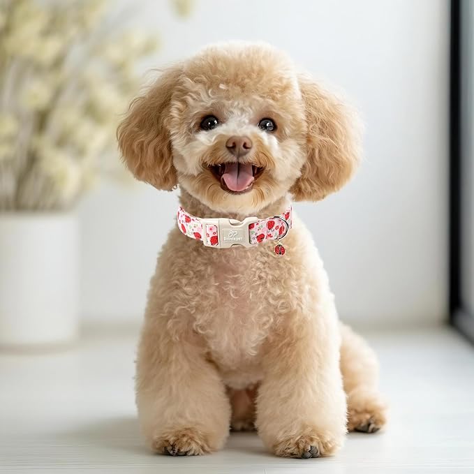 Lucky Ladybug Dog Collar for Medium Dogs - Sweet Pink Girl Dog Collars, Lightweight Adjustable Spring Garden Mom Dogs Collars with Quick Release Buckle M