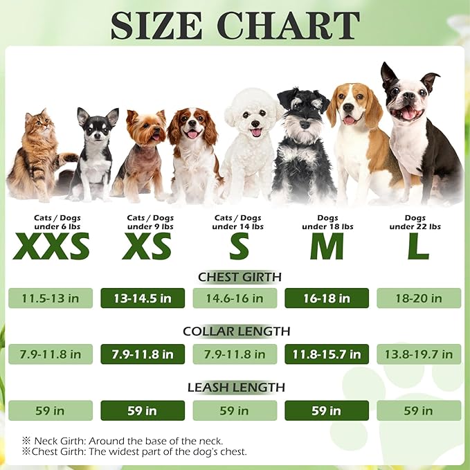 EXPAWLORER Easter Small Dog Harness - Dog Collar and Leash Set - Soft Mesh Padded Adjustable Step in Puppy Vest Harness No Pull, Reflective Escape Proof for Outdoor Walking, Bunny Egg M