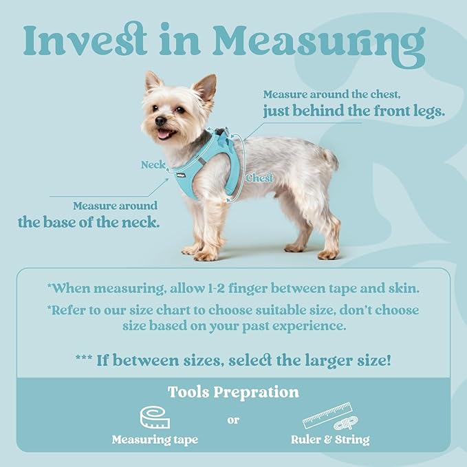 rabbitgoo Small Dog Harness, Step-in Soft Mesh Puppy Vest with Safety Buckle, Breathable Reflective Pet Harness for Small Sized Dogs, Mint Blue S