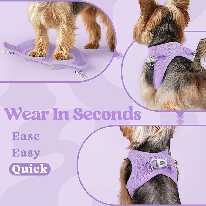rabbitgoo Small Dog Harness, Step-in Soft Mesh Puppy Vest with Safety Buckle, Breathable Reflective Pet Harness for Small Medium Dogs, Light Purple L
