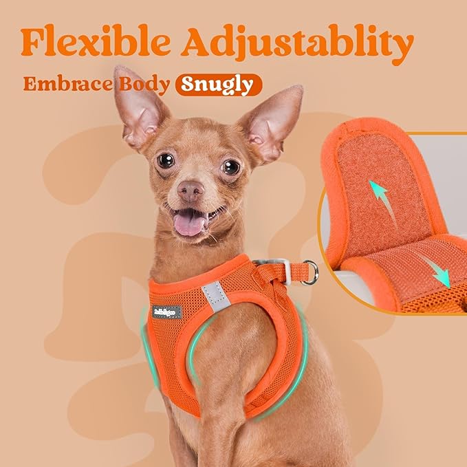 rabbitgoo Small Dog Harness, Step-in Soft Mesh Puppy Vest with Safety Buckle, Breathable Reflective Pet Harness for Large Dogs, Orange XXL